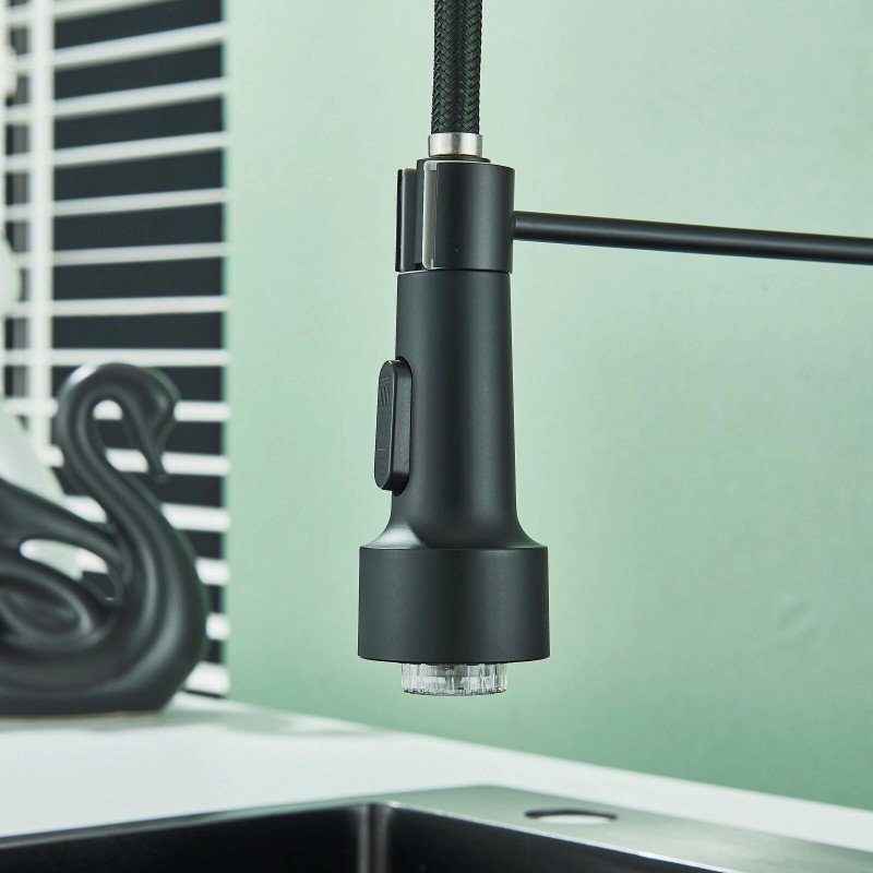 MVMHOME Black and Gold LED Kitchen Faucet with Pull Down