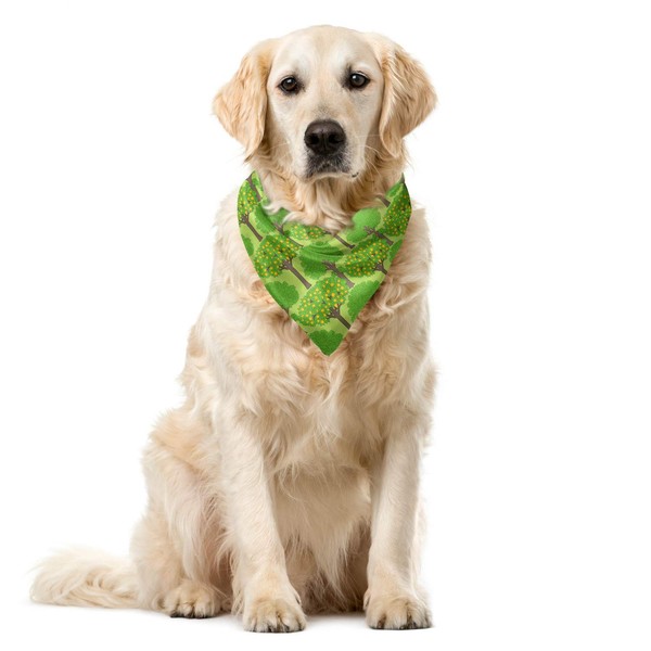Ambesonne Trees Bandana Collar, Orange Trees Citrus Blossoms, 16" X