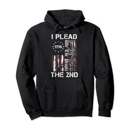 I Plead The 2nd Amendment We The People USA AR15 Pro Gun Pullover Hoodie