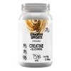 Suplemento Creatina Glutamina Polvo Stormcheetah 1kg 50ser