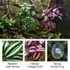 QhgPnt 2 Pack Reptile Plants for Terrarium, Artificial Leaves Habitat