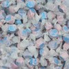 All Flavor Gourmet Saltwater Taffy (Cotton Candy, 2 LB)