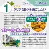 ブルベリーフ ブルーベリー ポリフェノール ルテイン サプリメント (大学/県との共同研究) 九州産 ゼアキサンチンプロアントシアニジン クロロゲン酸 農薬不使用