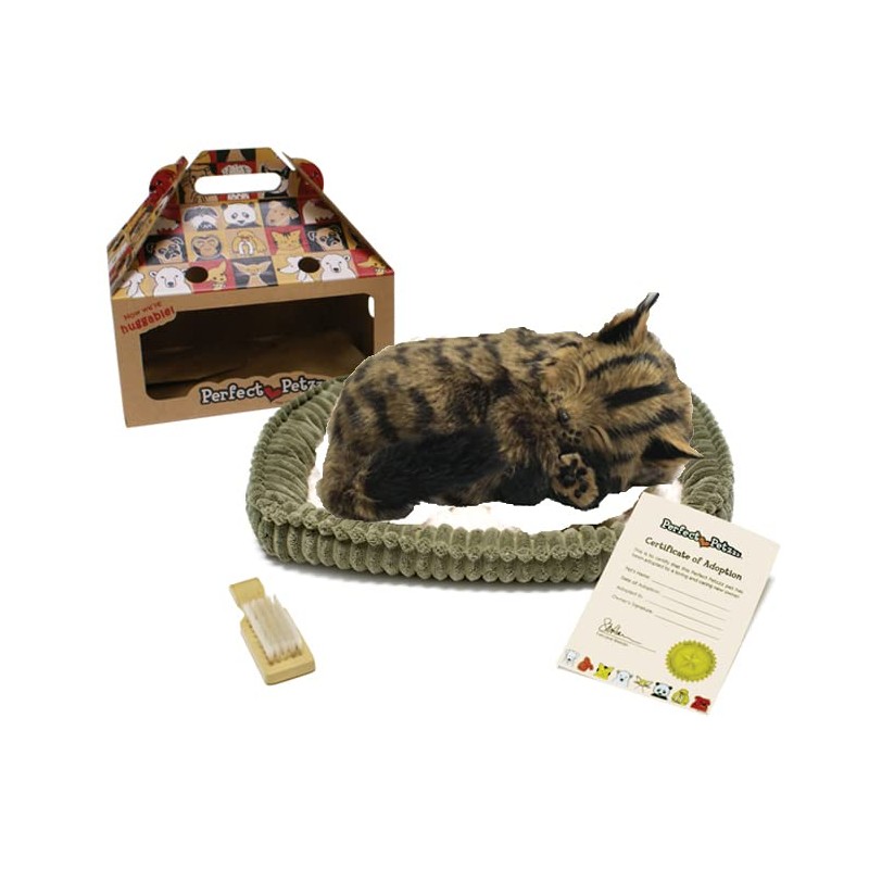 Perfect Petzzz Maine Coon Cat The Original Breathing Pet New