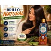 Shampoo Huichol Original Fortalecedor (brillo) Cabello 400ml
