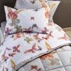 Other - Bed Linen Top Butterfly Unspecified Double Bed White