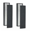 2Pack -FLT5000 FLT5111 Replacement Filter C, Compatible with Guardian Air