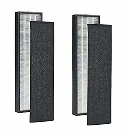 2Pack -FLT5000 FLT5111 Replacement Filter C, Compatible with Guardian Air Purifiers AC5000, AC5000E, AC5250PT, AC5350B, AC5350BCA, AC5350W, AC5300B, BXAP250, IAP-GG-125 Series Filter C