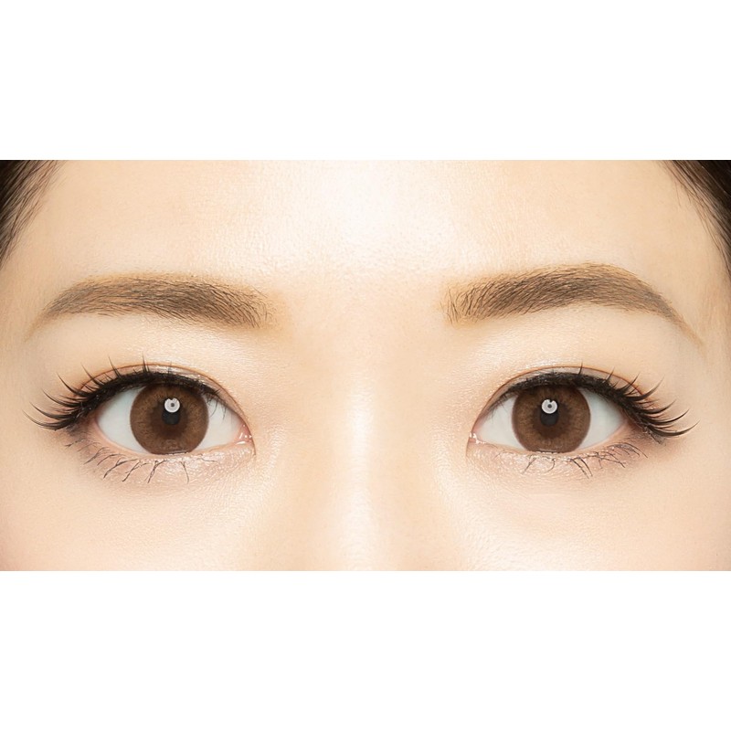 (3 Pairs) DiamondLash Volume Series [Rich Eye] Thick bundles for