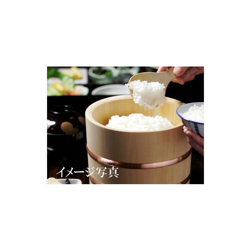 [Shimizu Wood Sangy] Kiso no Tetsu, Kiso Noodle (Edo Bitsu),