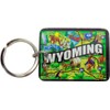 Wyoming - Llavero de acrílico para recuerdo, accesorio retro de