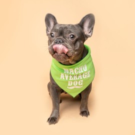 Nacho Average Dog Dog Bandana | 100% Cotton Adjustable Triangle | Made in USA | Cinco de Mayo | Fun Mexican Food Accessory | Taco Tuesday |Black, One Size (622)