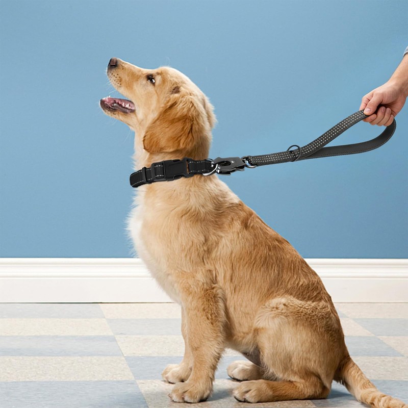 Short Dog Leash 15” Heavy Duty Nylon Traffic Leash with