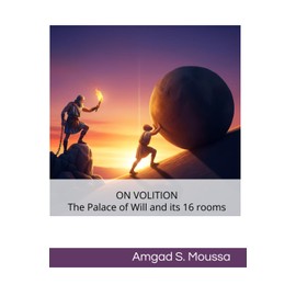 ON VOLITION: The Palace of Will and its 16 rooms: "A map of the self. A guide to agency. A call to flourish."