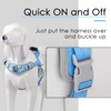ADVENTUREMORE Dog Harness for Small Dogs No Pull, Dog Halter