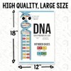 DNA Explanation Classroom Poster - Science Classroom Poster - 12