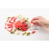 Ippaikai Snow Crab 3D Puzzle, Steamed
