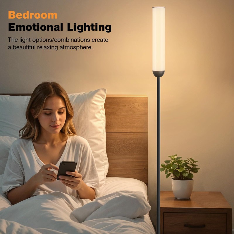 LED Floor Lamp with Remote Control, 65" Standing Lamp with