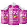 Designer Wellness Protein Smoothie, Real Fruit, 12g Protein, Low Carb,