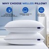 Wellos Q-DF Pillow, Queen, White 2 Count
