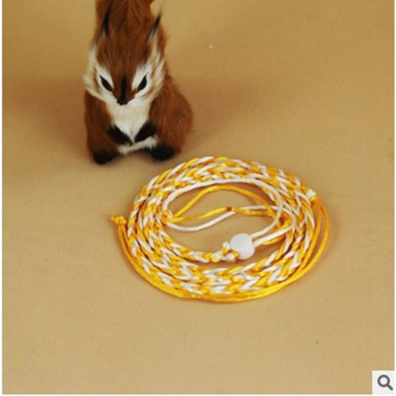 Zittop 1 PCS Small Animal Leash Lead Harness Rope Hamster