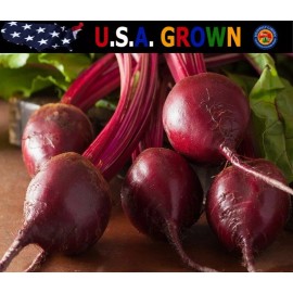 The Gardening World 500 Detroit Dark Red Beet Seeds Beta Vulgaris, Premium Non-GMO, Open Pollinated