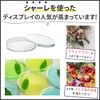 dodtazz Petri Dish, Plastic Petri Dish with Lid, Disposable, Experiment,