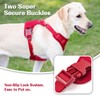 Sunraymascota No Pull Dog Harness Escape Proof, Adjustable Mesh Puppy