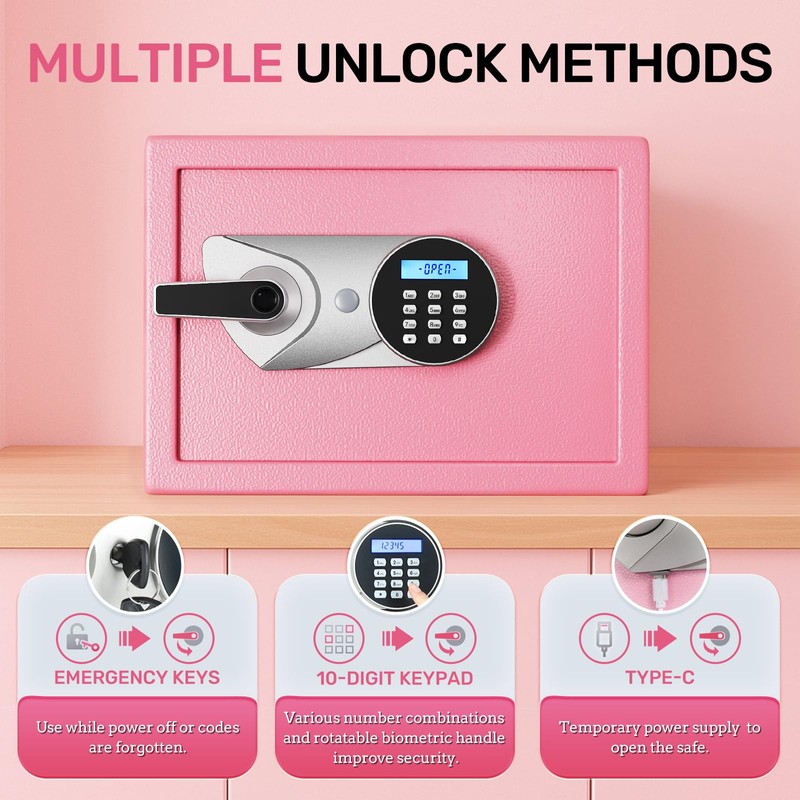 BlackSmith Home Biometric Safe 1.0 Cub Quick Access Fingerprint Lock
