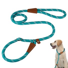 Aomig Adjustable Dog Leash for Puppies Small Medium Large Dogs Reflective Cat Lead Nylon for Training Outdoor Running Walking(Blue, 1.8M)