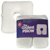 The Coolest Pillow - Essential for Sunbathing at Beach or