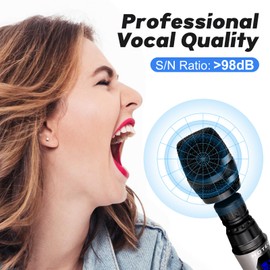 HOTEC Wireless Singing Microphones for Karaoke, Dual UHF Handheld Dynamic Mic System with Echo/Vol Control and Rechargeable Receiver, Ideal for Church, Wedding, Party, Speech, PA, Mixer
