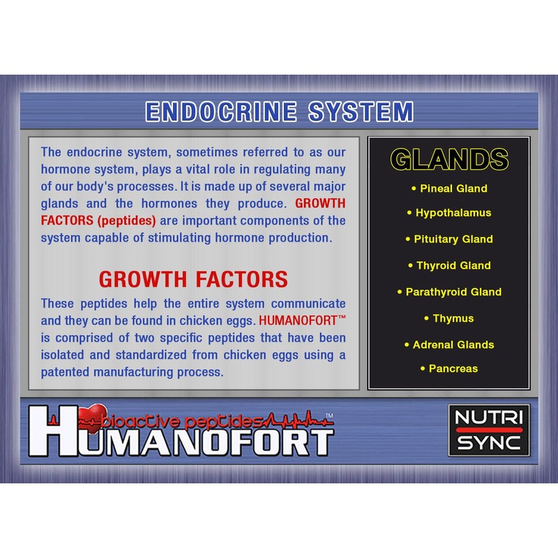 Nutri-Sync HUMANOFORT [200MG Per Capsule] - 60 Capsules