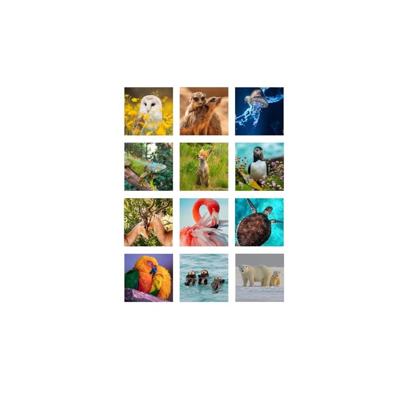 2025 World Wildlife Wall Calendar - CL06