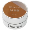 Dna Gel Color Gel N25 2.5g Dogwood