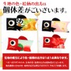 Ryukodo 2-482 Japanese Pattern Stand Carp Streamer
