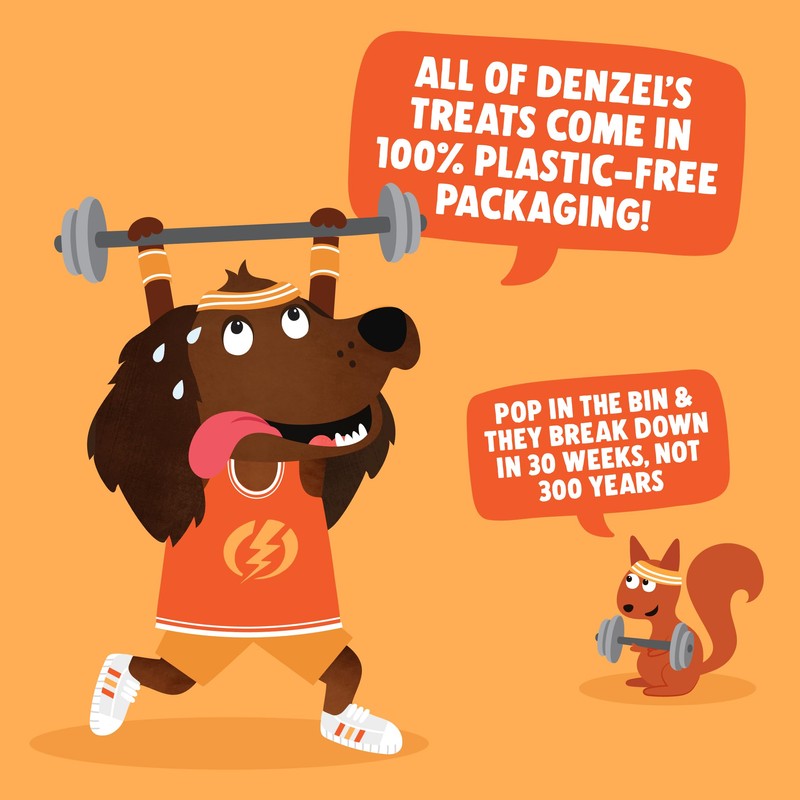 Denzel's Denzel's All Natural Dog Treats - Training Bites -