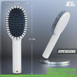 Evergreen Labs Hair Brush with Secret Compartment - Small Money Hiding Place - Key Hiding Place Only for Small Keys - Discreet Money Box for Valuables - Can Safe - Hidden Safe - Beach Safe - Tanning