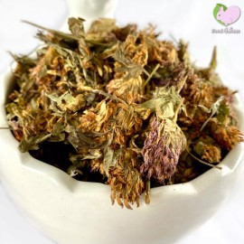 Food4Buns Red Clover Tops,  Bunny Rabbit Guinea Pig Food Treats - 8 oz