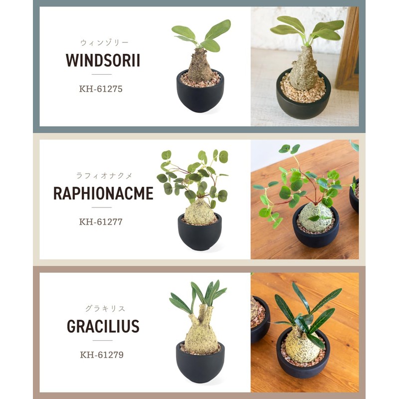 Fake Green Glacilis Codex Eklia Greenery Life Deodorizing Artificial Green