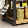 Worktop Spice Rack, 2 Tier Kitchen Spice Rack, Kitchen Countertop