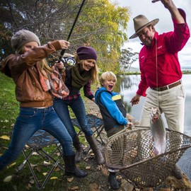 AILLOVCOL Folding Camping Stool Portable Chair Mini Foldable Stool for Adults Fishing Hiking Gardening and Beach with Carry Bag(Camouflage)