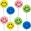 Assorted Happy Face Shaped Lollipops, Rainbow Swirl Lollipop, Mixed Fruit