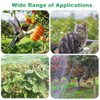 Orixo Transparent Cat Net, 5 x 5 m, No Drilling,