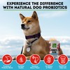 Only Natural Pet Probiotic Dog and Cat Supplement - Digestive