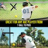 PLAYAPUT Portable Baseball Swing Trainer with The Tethered Ball,Premium Hitting/Batting