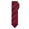 Jacob Alexander Boys' Prep Regular Stripe Tonal Neck Tie -