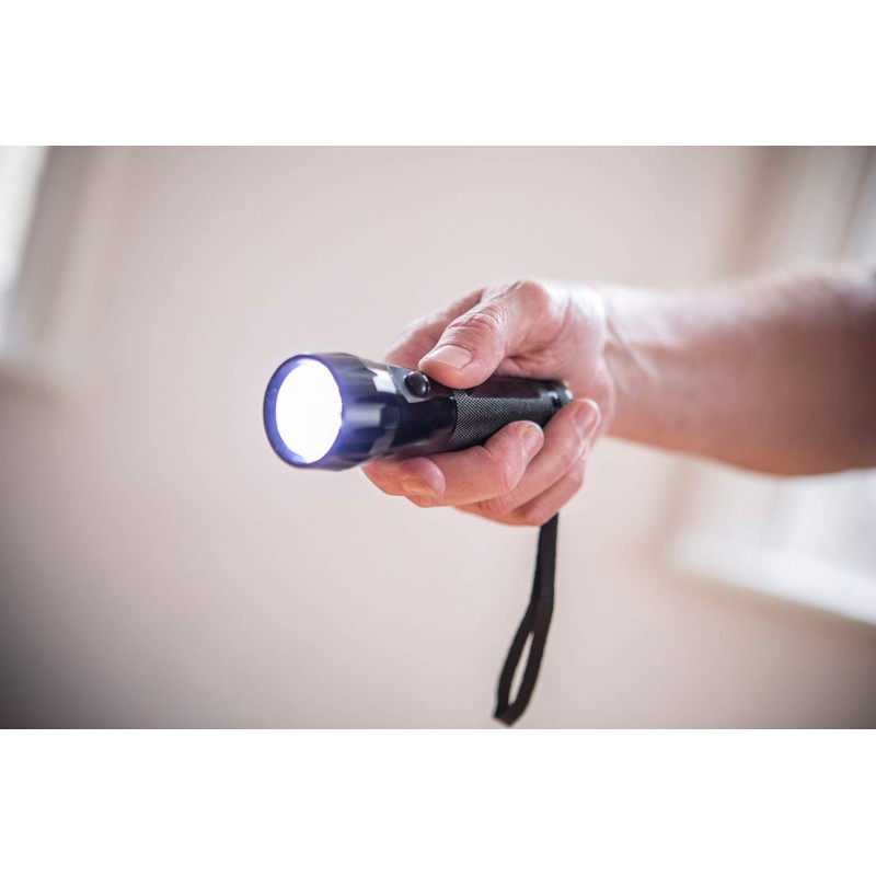 Two Pack - Car & Home LED Torch Work Light