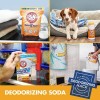 Arm & Hammer 13.5 lbs. Arm & Hammer Pure Baking