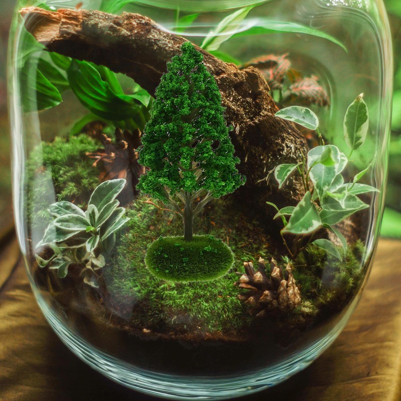 EXCEART 5pcs Miniature Garden Model Tree Tabletop Mini Figure Multi-function